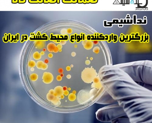 microbiological-testing-services-nedashimi
