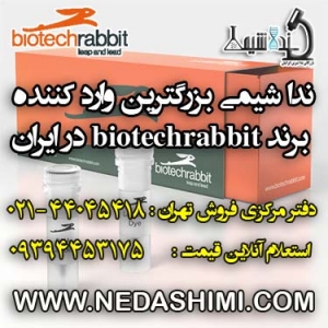 biotechrabbit