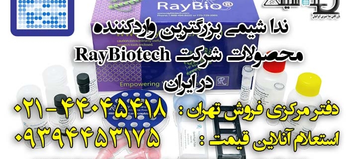 raybiotech