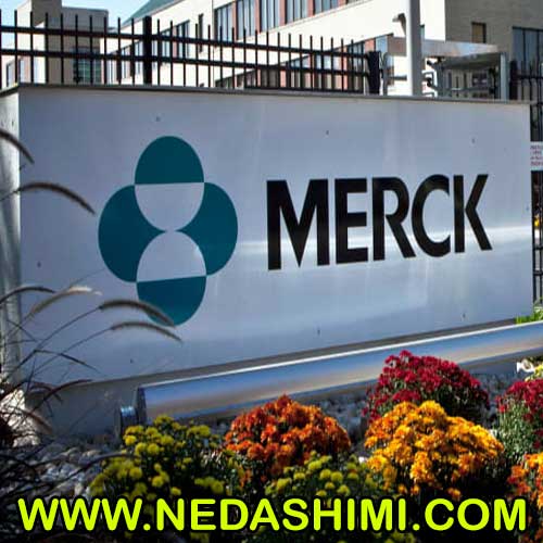 MERCK-NEDASHIMI